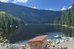Download-7