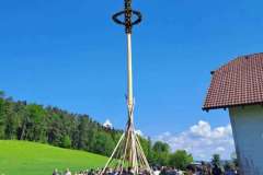 09e25694-0220-492f-af27-4554d3b228d5